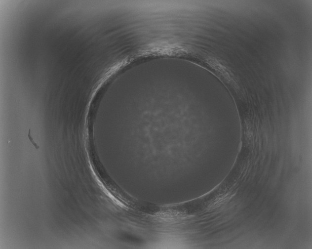 X0000056350630200509021723