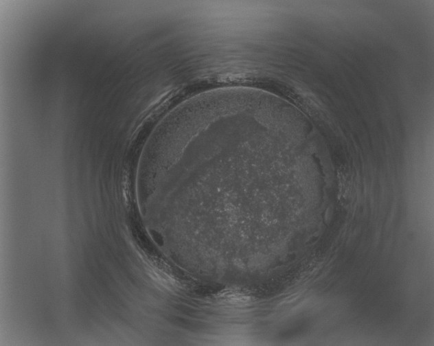 X0000056350648200509021723