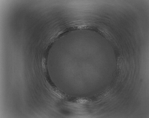 X0000056350650200509021723