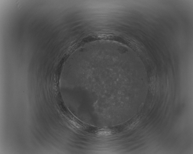 X0000056350653200509021723