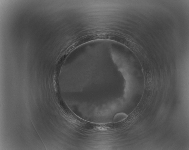 X0000056350654200509021723