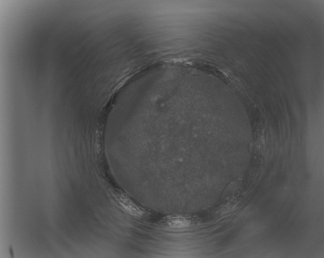 X0000056350658200509021723