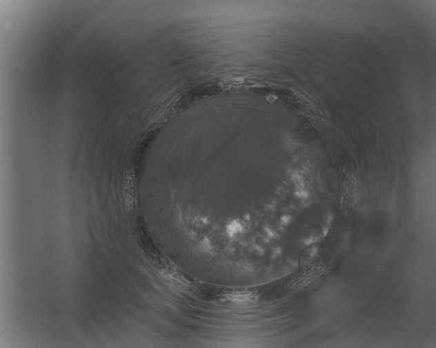 X0000056350659200509021723