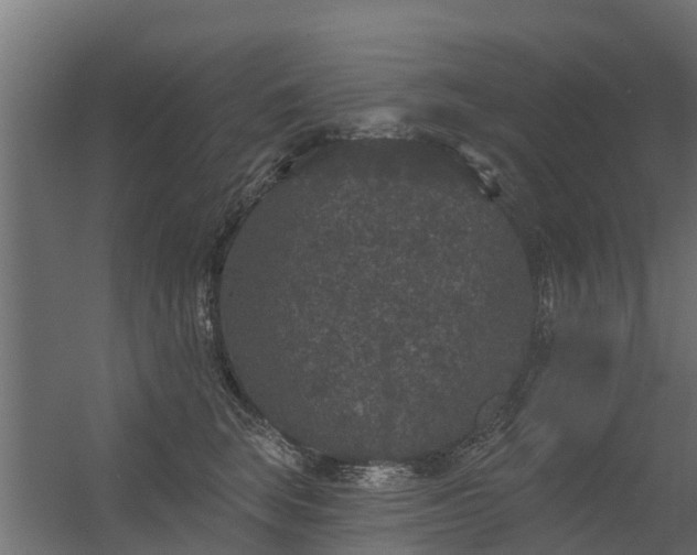 X0000056350663200509021723