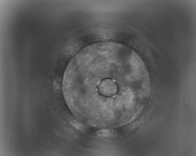 X0000056350672200509021723