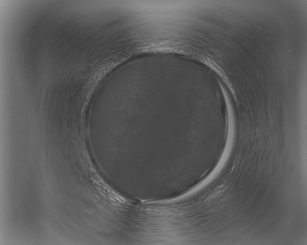 X0000056350673200509021722