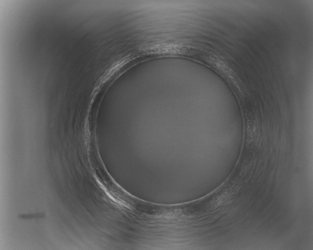 X0000056350674200509021722