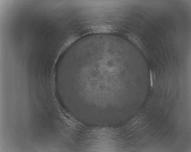 X0000056350675200509021722