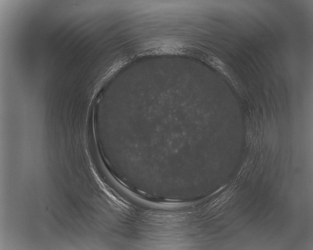 X0000056350677200509021722