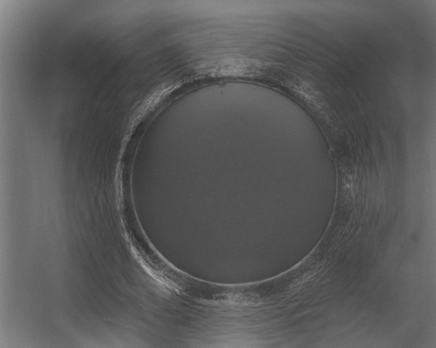 X0000056350678200509021722