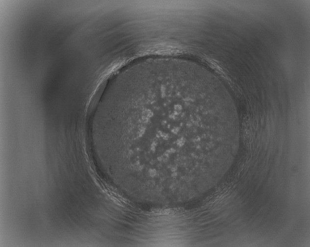 X0000056350679200509021722