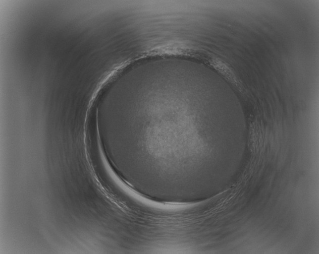 X0000056350680200509021722