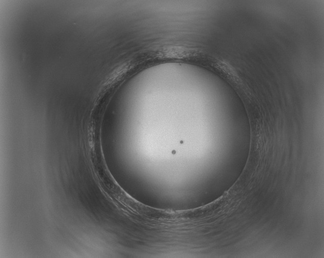 X0000056350683200509021722