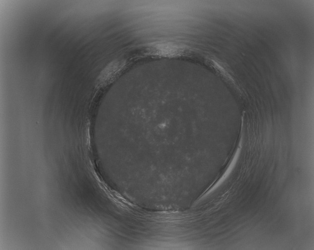 X0000056350685200509021722