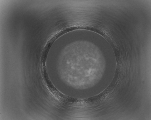 X0000056350688200509021722