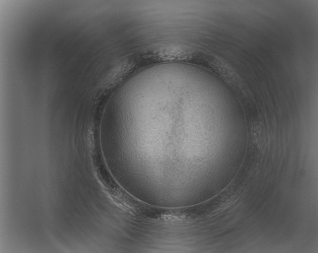 X0000056350690200509021722