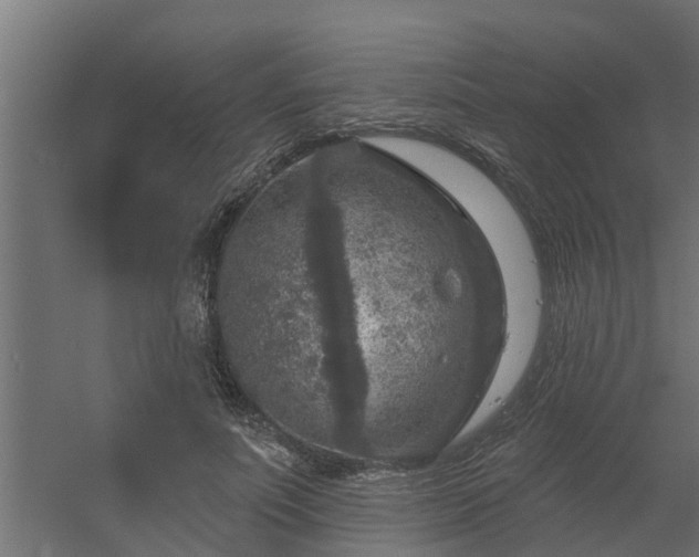 X0000056350691200509021722