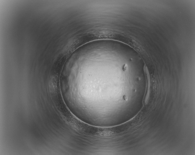 X0000056350695200509021722