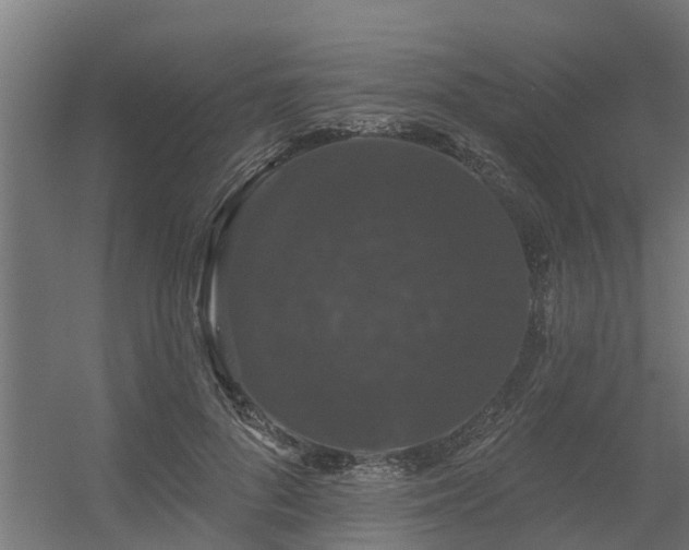 X0000056350696200509021722