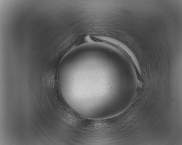 X0000056350697200509021722