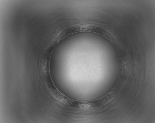 X0000056350698200509021722