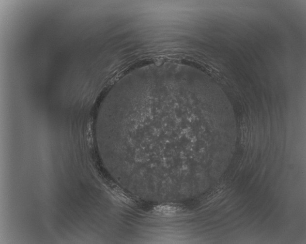 X0000056350699200509021722