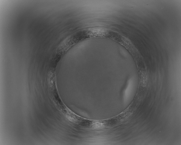 X0000056350701200509021722