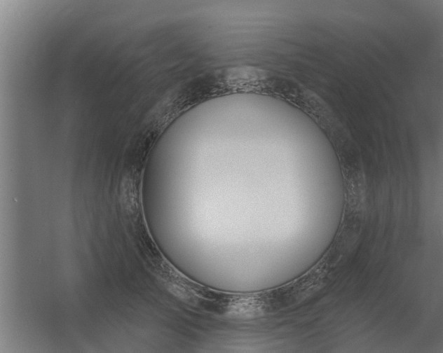 X0000056350705200509021722