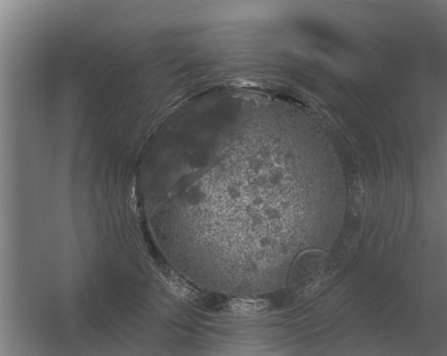 X0000056350707200509021722