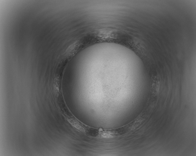 X0000056350710200509021722