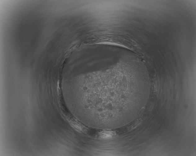 X0000056350711200509021722