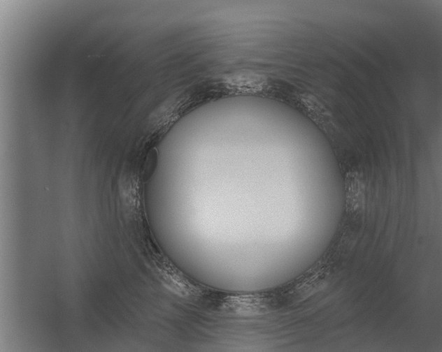 X0000056350713200509021722