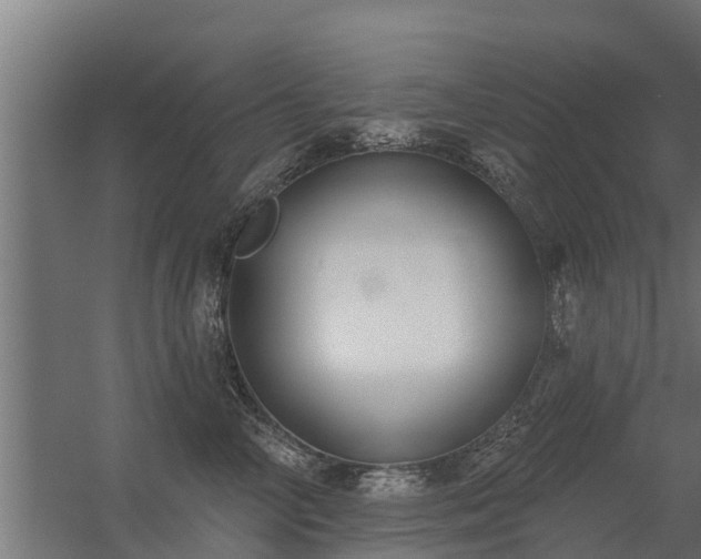 X0000056350714200509021722