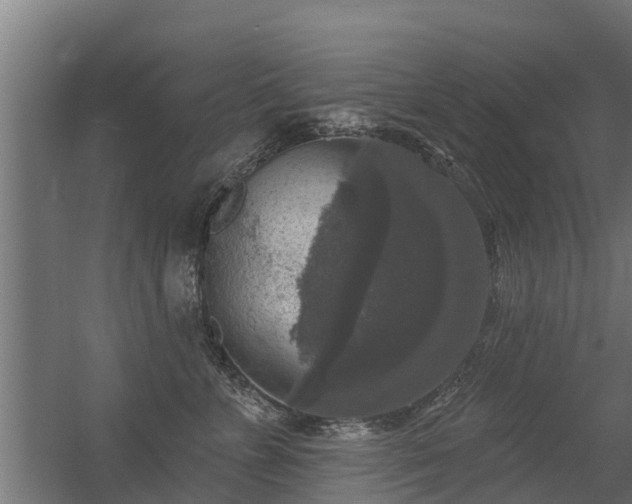 X0000056350715200509021722