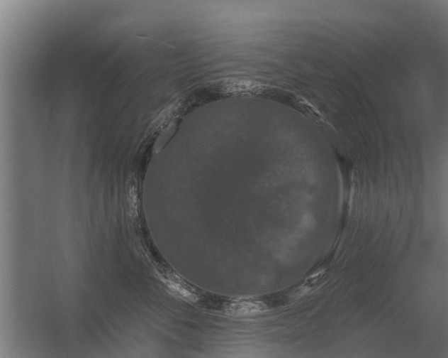 X0000056350716200509021722