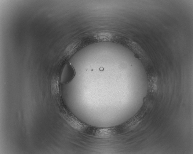 X0000056350717200509021722