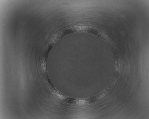 X0000056350718200509021722