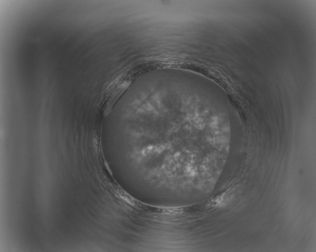 X0000056350720200509021722