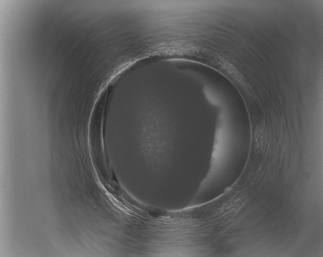 X0000056350722200509021721