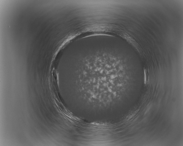 X0000056350723200509021721