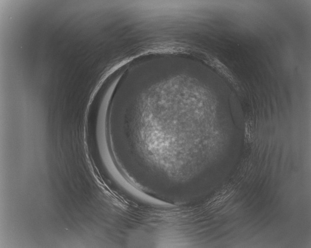 X0000056350724200509021721