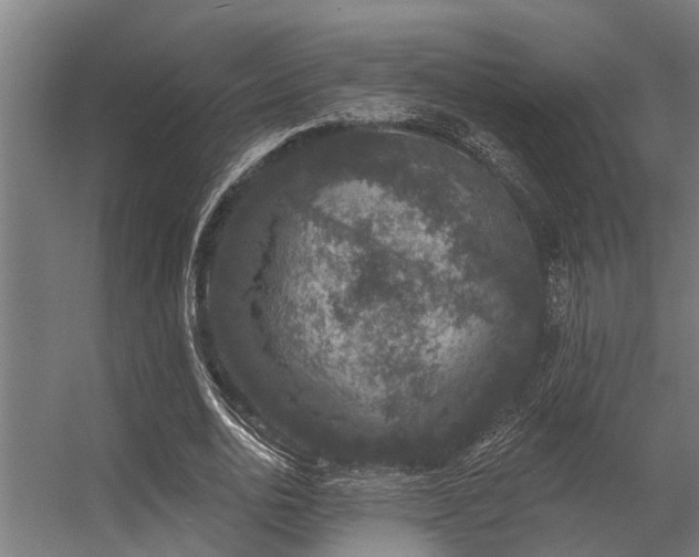 X0000056350726200509021721