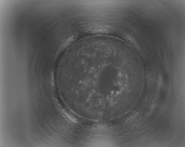 X0000056350729200509021721