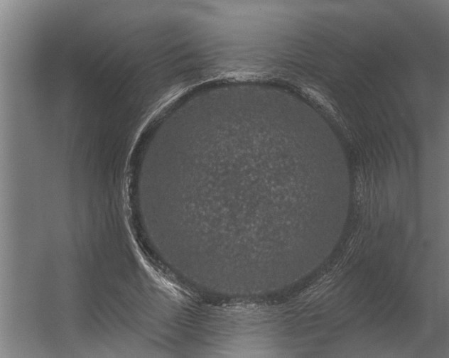 X0000056350730200509021721