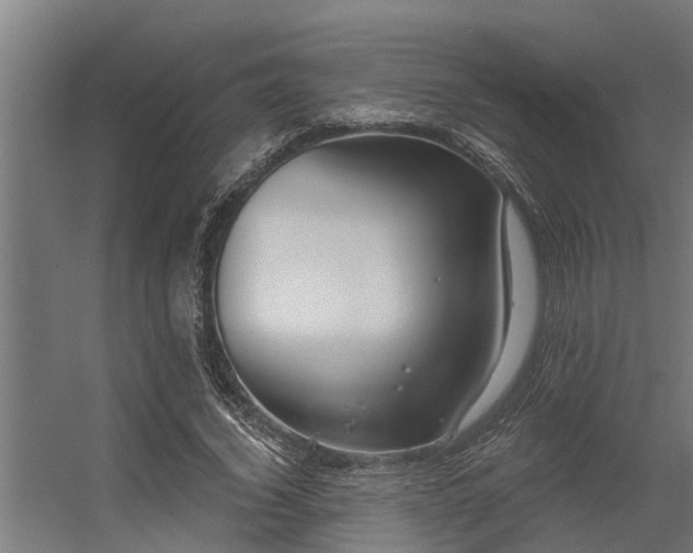 X0000056350732200509021721