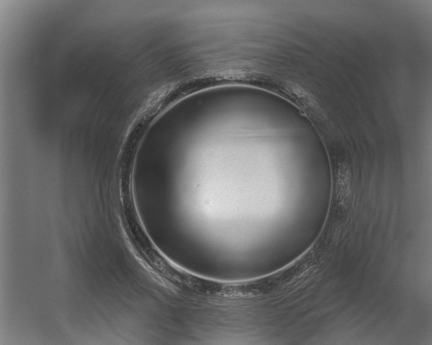 X0000056350734200509021721