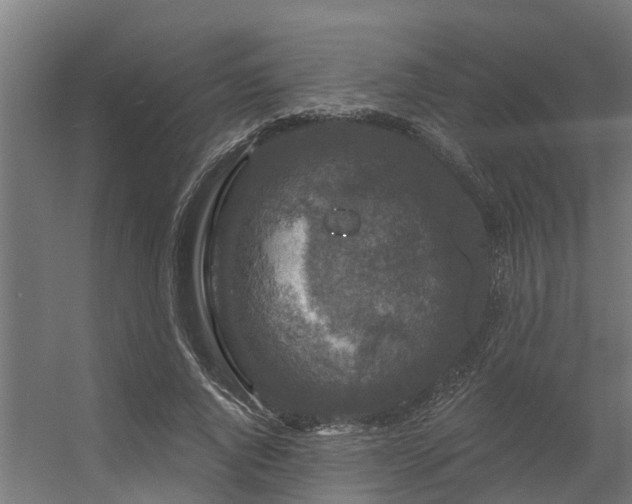 X0000056350736200509021721