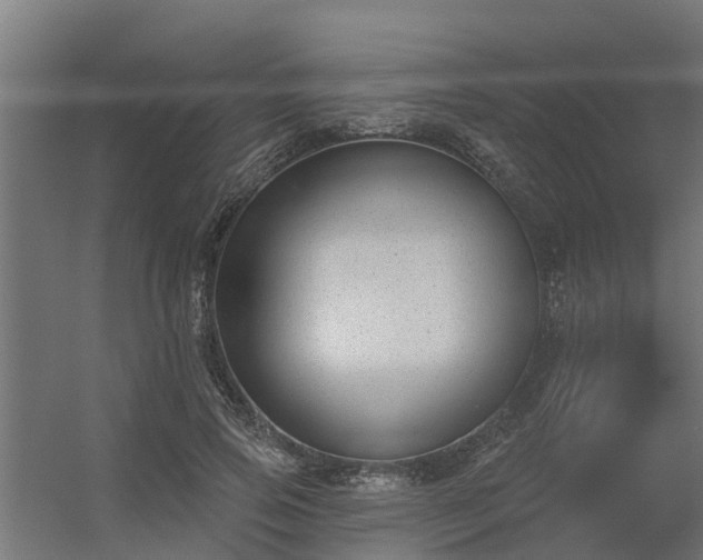 X0000056350741200509021721