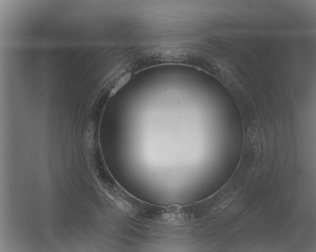 X0000056350744200509021721