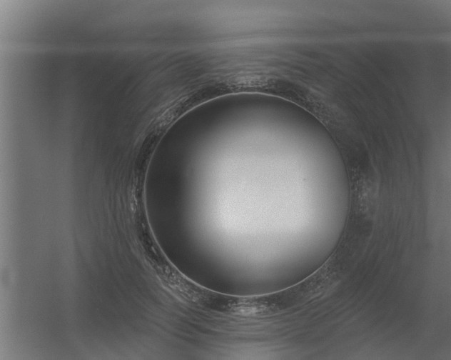 X0000056350746200509021721